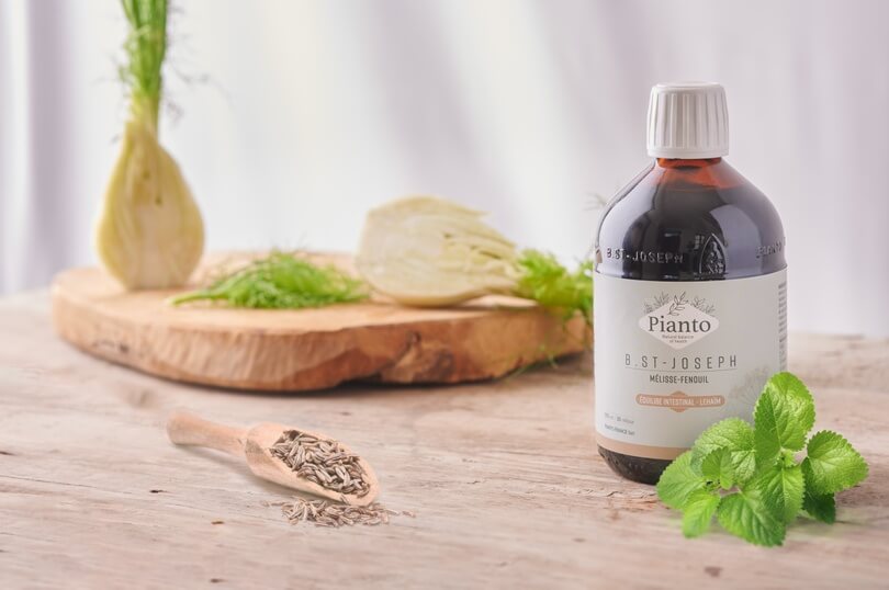 B.St-Joseph_Darm_Lehaim_Zitronenmeliise_Fenchel_Wegerich B.St-Joseph Darm - Lehaim mit Zitronenmelisse, Fenchel, Wegerich und Arabiogalaktane für die Aufrechterhaltung eines guten Gleichgewichts im Darm