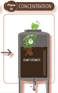 Herstellung-Pianto-Konzentration Pianto-Classic-Herstellung-Konzentration