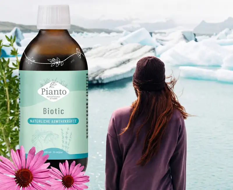 PIanto Biotic Natürliche Abwehrkräfte mit Ginseng, Thynian, Echinacea PIanto Biotic Natürliche Abwehrkräfte mit Ginseng, Thynian, Echinacea