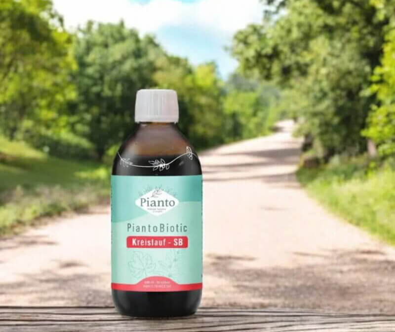 Pianto Biotic Kreislauf mit Hamamelis und Beeren